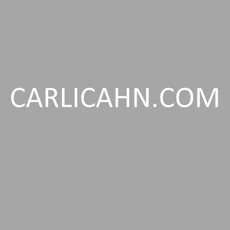Carl Icahn Issues Statement in Response to Bernie Sanders Remarks